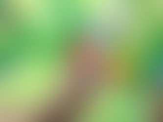 Cách chơi 1 ván bài tứ sắc chi tiết