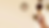 Header-enola.png