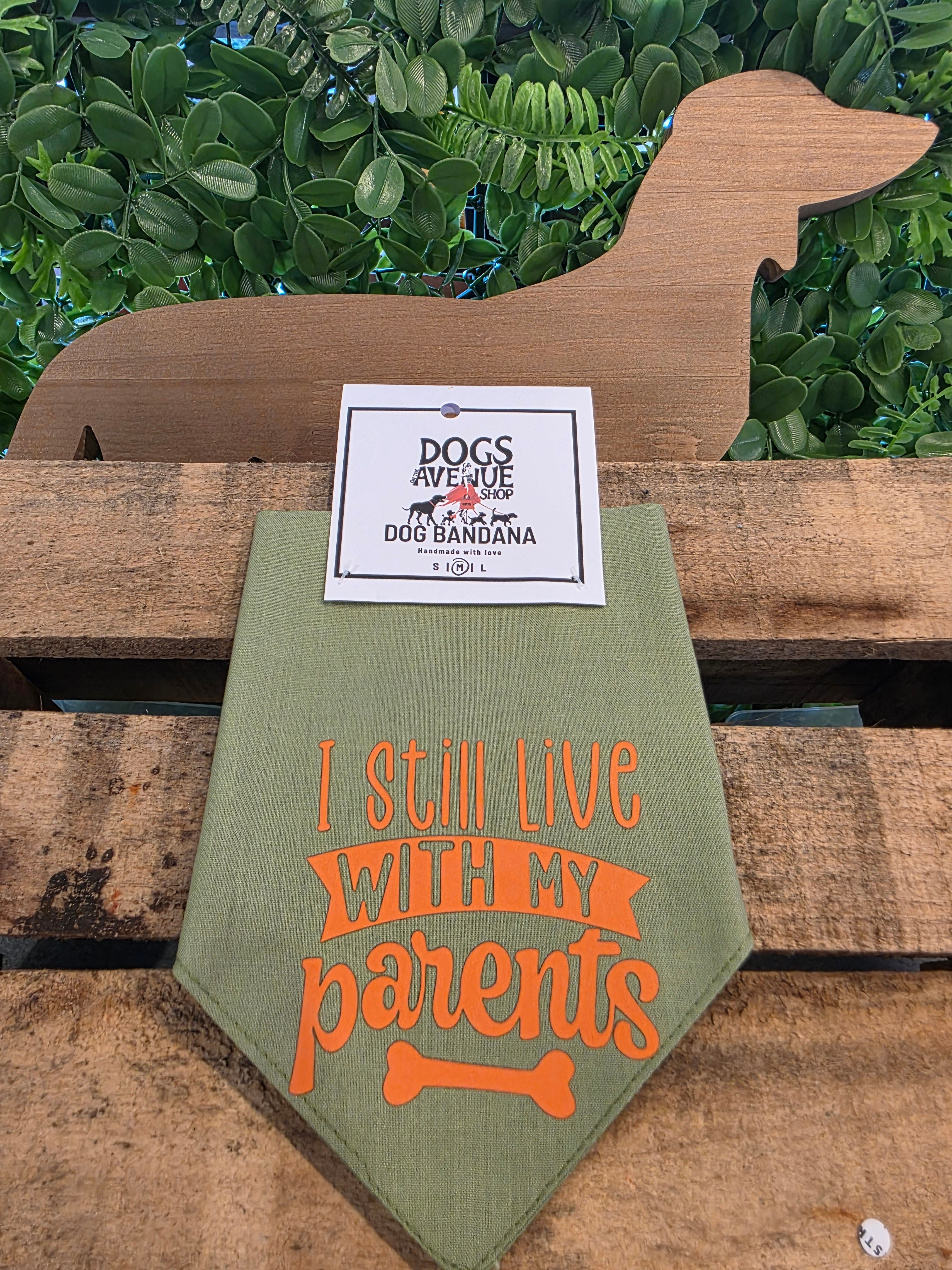 I Still Live With my Parents