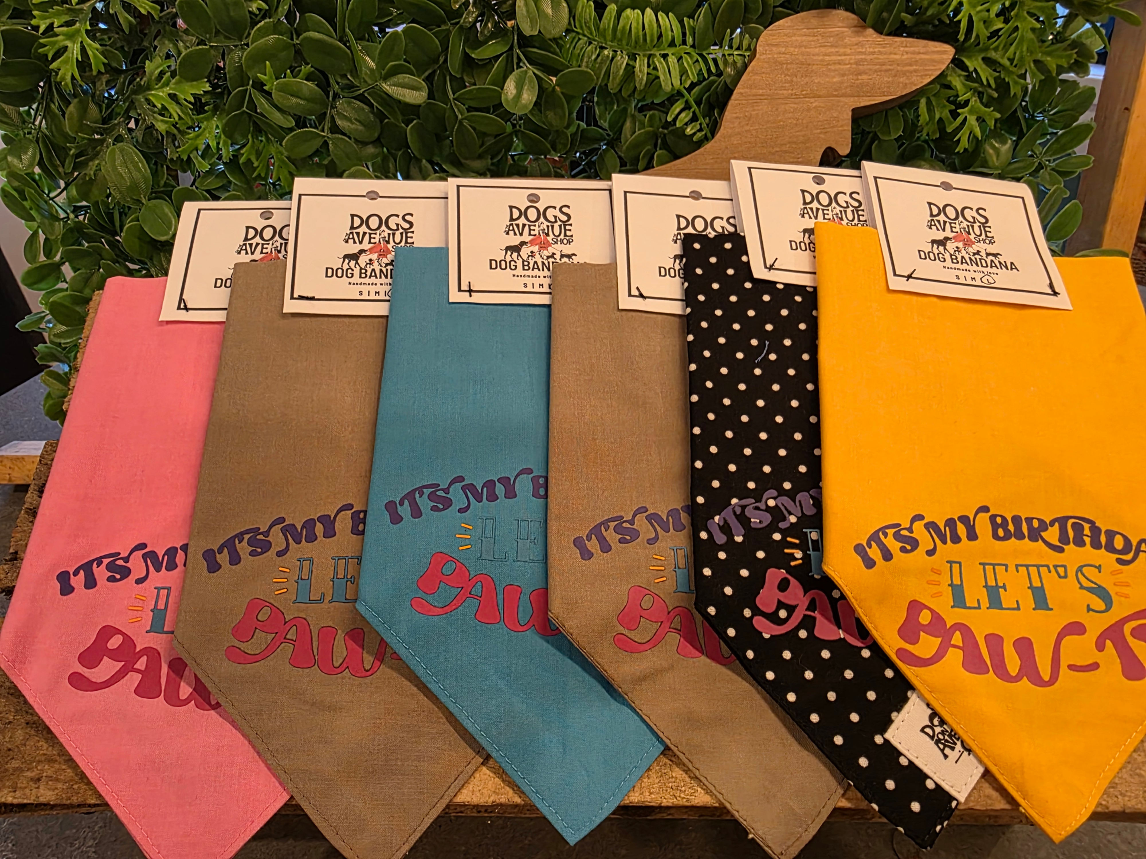 Smooch The Birthday Pooch