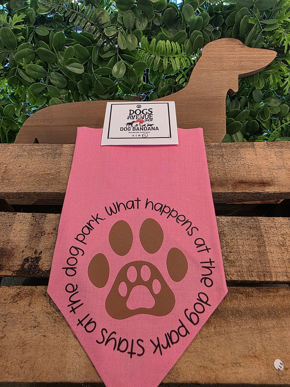 Thumbnail: What Happens In The Dog Park