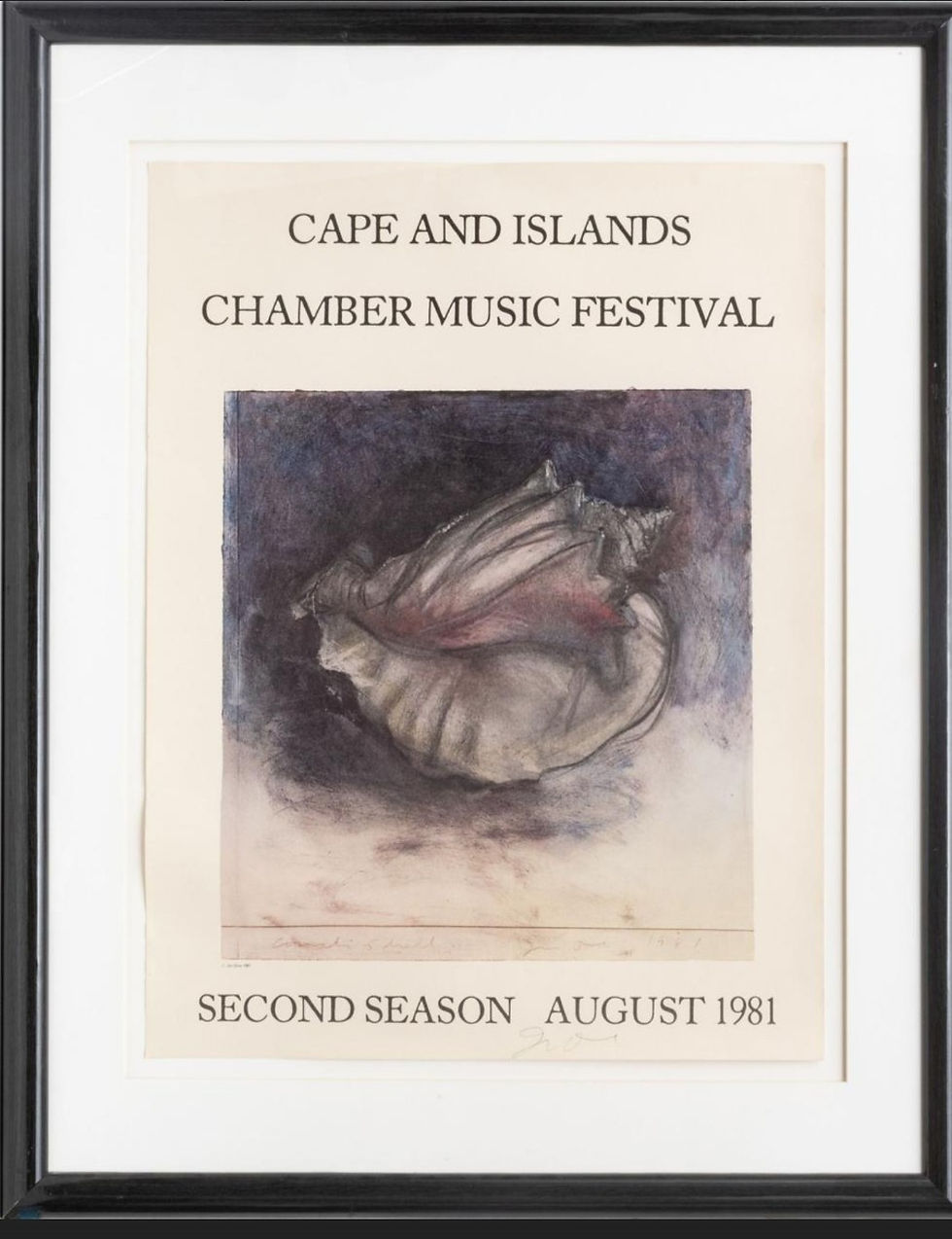 image of a conch shell