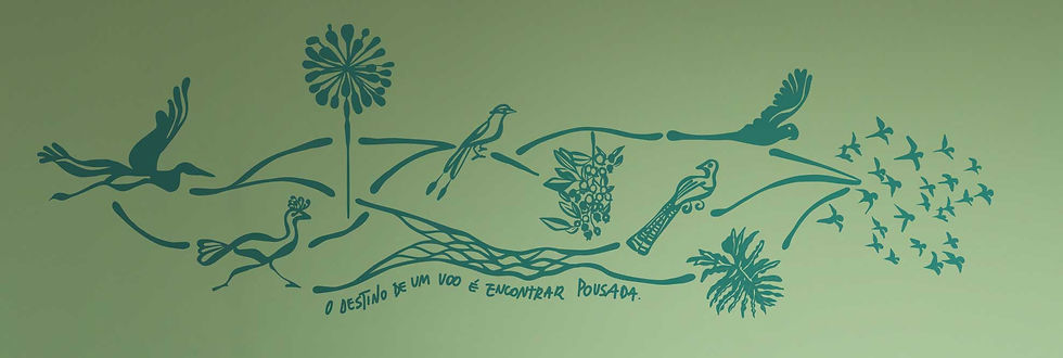 Grafismo aplicado na recepção do hotel Sesc Bonito criados pela POLCA