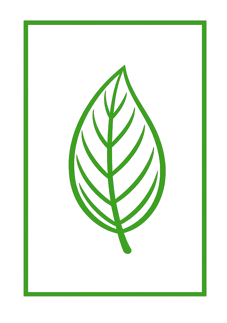 Hoja verde con trazo.png