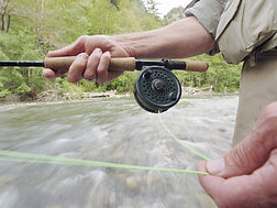 moulinet pêche mouche soie rivière arbres