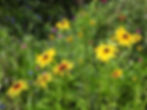 DSCN0057