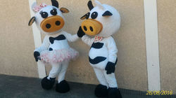 WhatsApp Image 2016-08-26 at 15.56.35 (7)