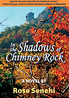 COVER 300 DPI.jpg