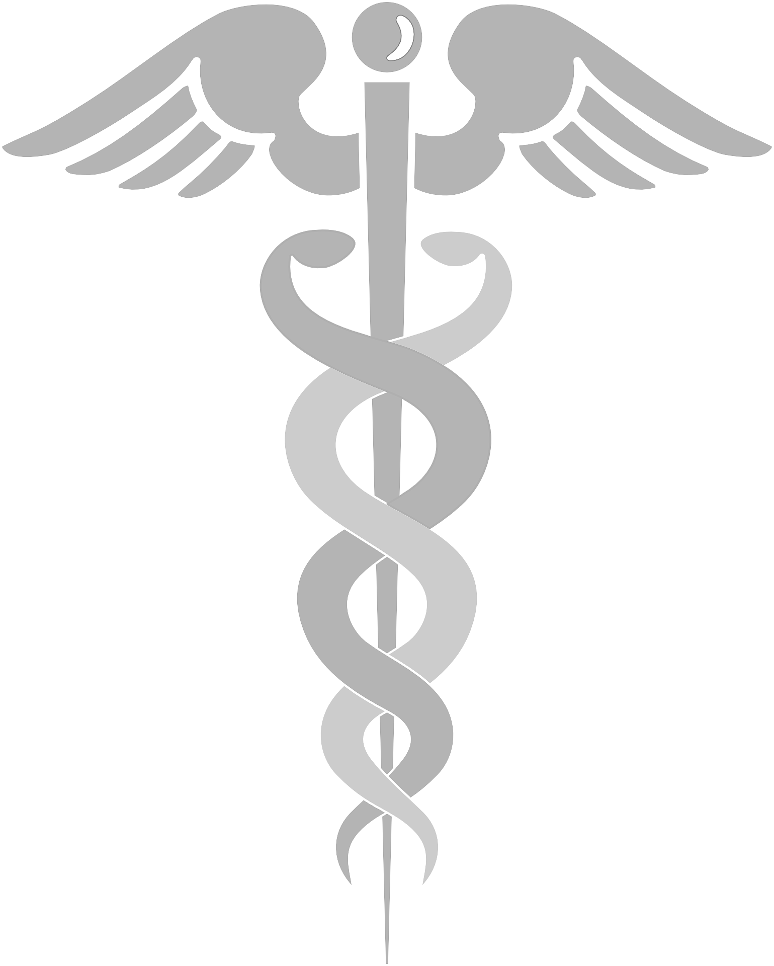 rod-of-asclepius-297429_1920_edited.png