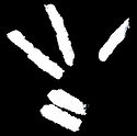 brush logo white bbg.jpg
