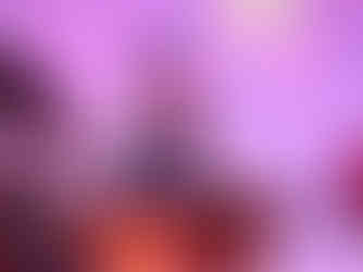 Nimbin Chamber of Commerce Festival