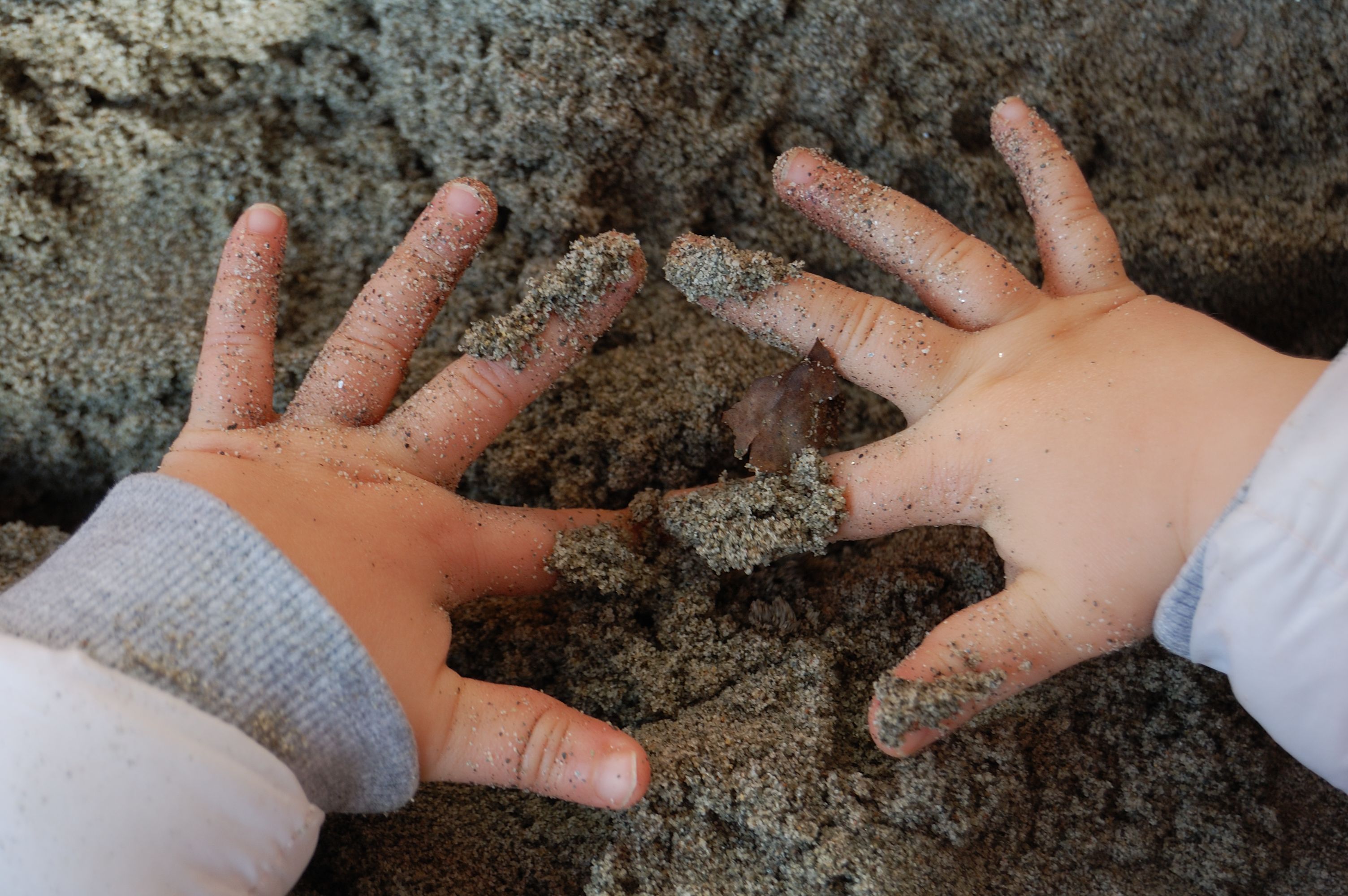 La Manipolazione un attivit importante per i bambini La Manipolazione un attivit importante per i bambini Psicologia Italia