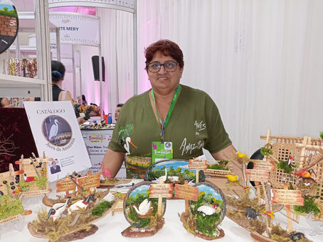 Aves da Amazônia: artesã Cláudia Penafort transforma materiais descartados em impressionantes representações de aves
