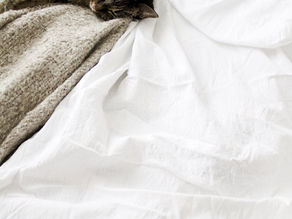 Sleeping Wild