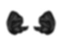 scan_oreilles.jpg