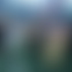 Deivone is a Patriots Difference Maker for CT and all of NE.