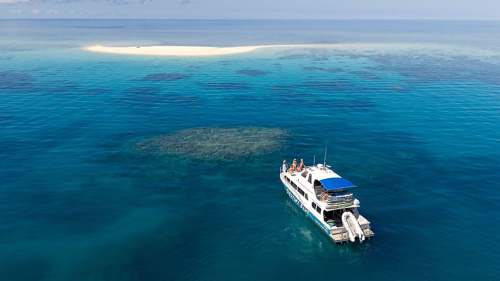 Mackay Reef - Destiny Blue Charters.jpg