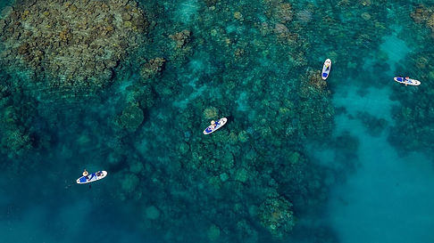 SUP boarding great barrier reef Destiny Blue Charters.jpg