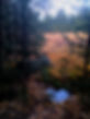 20241015_182509_edited.jpg
