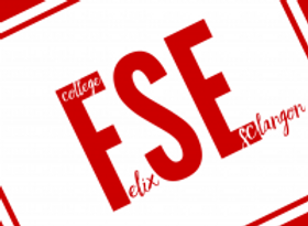 FSE du collège Félix Esclangon