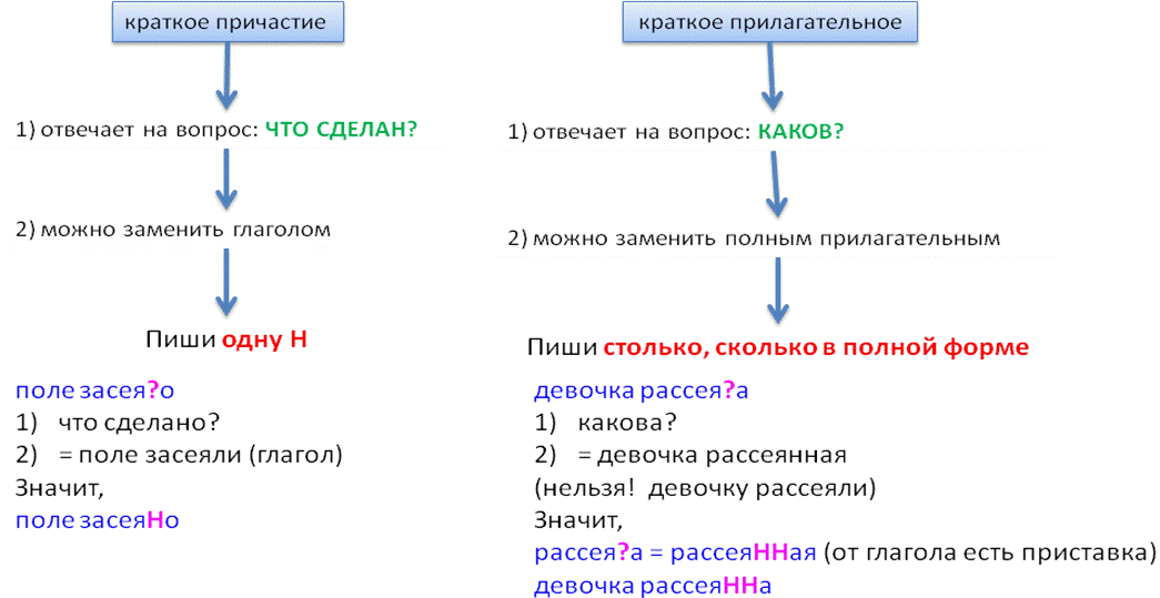 Причастие и прилагательное разница. Краткая форма прилагательного и причастия. Краткое Причастие и прилагательное отличие. Различие кратких прилагательных и кратких причастий. Краткое Причастие краткое прилагательное различия.