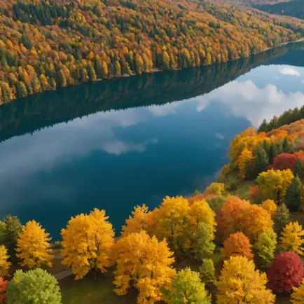 The Unconventional Expat: From Canada to Sweden to Spain - Our Journey of Embracing Change