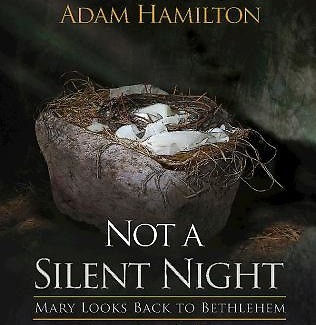 Not a Silent Night.jpg