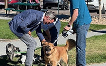 Blessing of the Animals