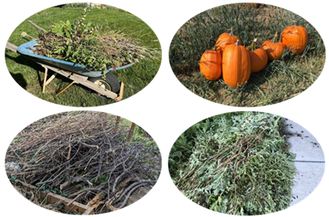 Yard Waste Recycling