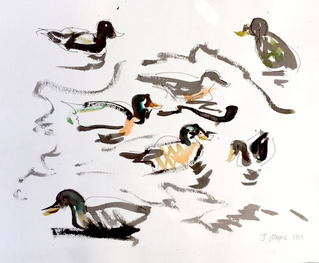 Ducks