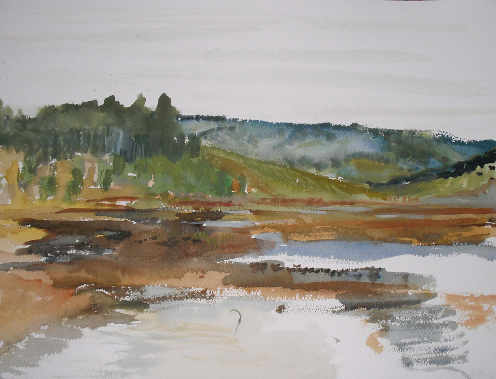 Estero