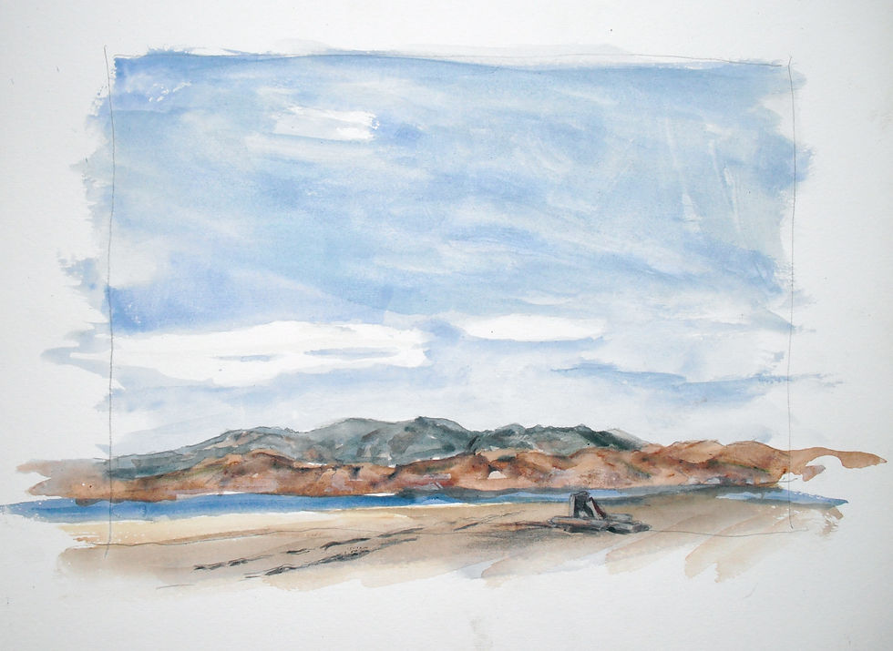driftwood on the Beach