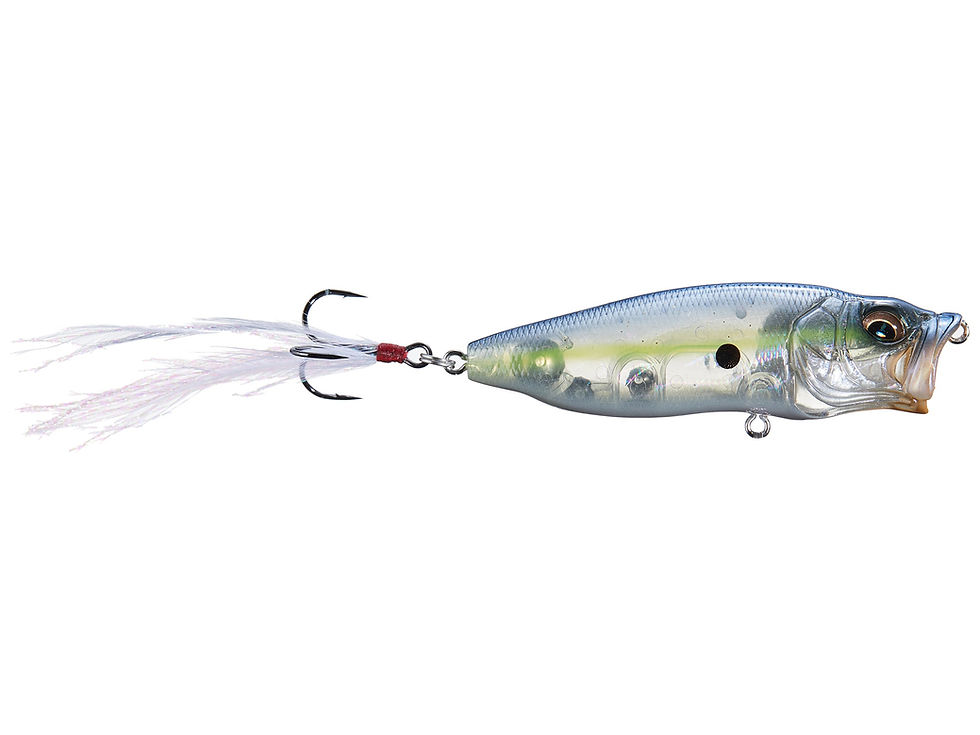 Thumbnail: Megabass Popmax