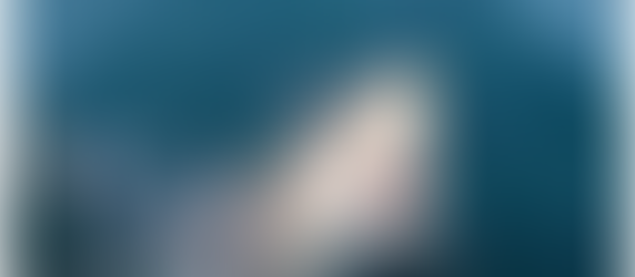 Tiburón zorro capturado en aguas de Huelva