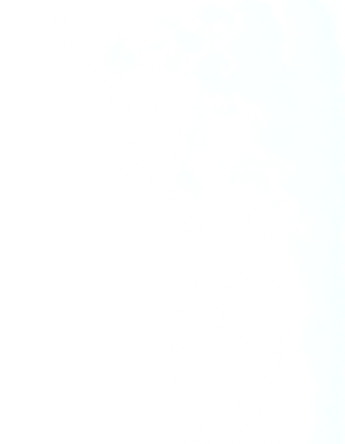 image%2520(8)_edited_edited.png