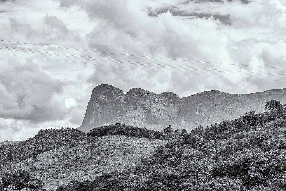 Aiuruoca (Pico Papagaio) - BR
