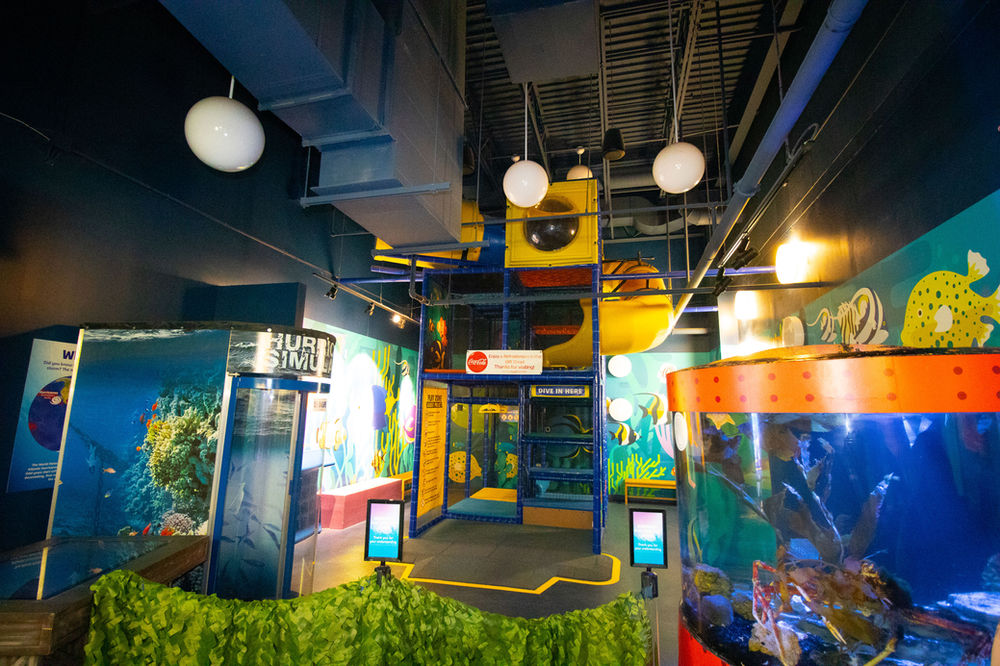 Visiting and reviewing SEA LIFE Michigan Aquarium in Auburn Hills