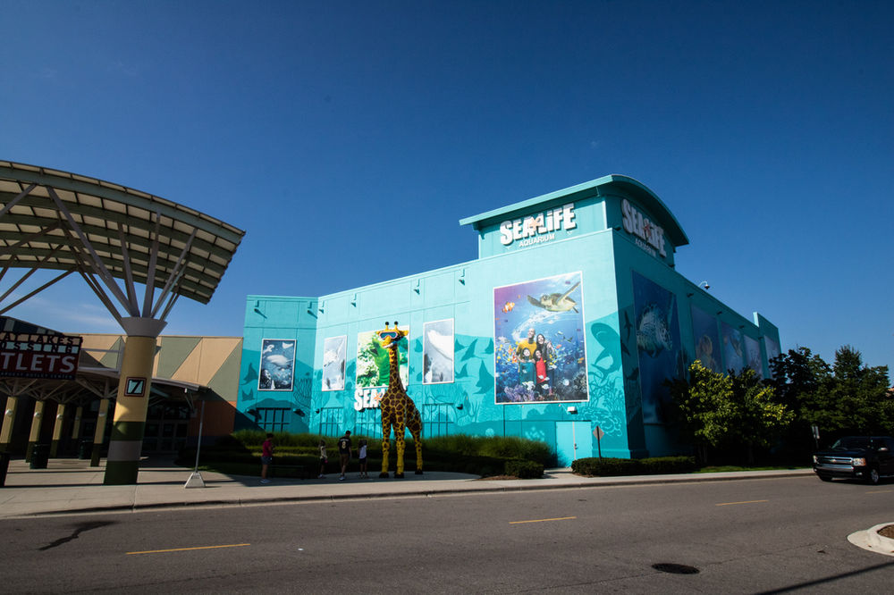 Visiting and reviewing SEA LIFE Michigan Aquarium in Auburn Hills