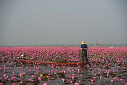 a52de9_0044b98154d547de8d68c38cd4a8f4ec~mv2_d_2000_1331_s_2.jpg