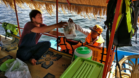 untitled image