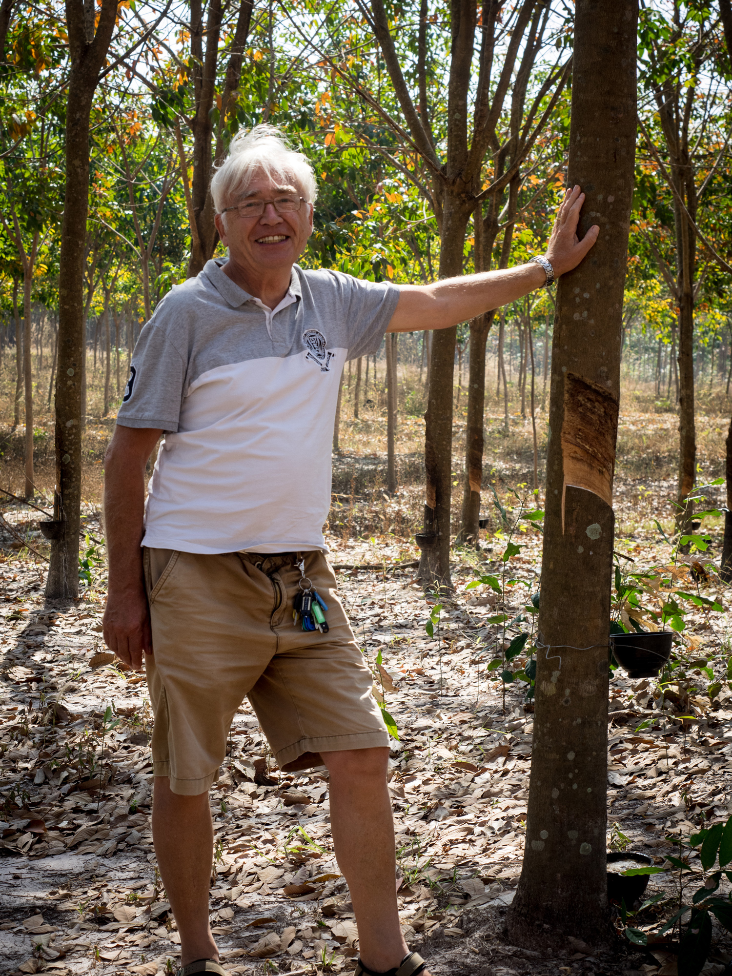 Jeremy in a rubber plantation