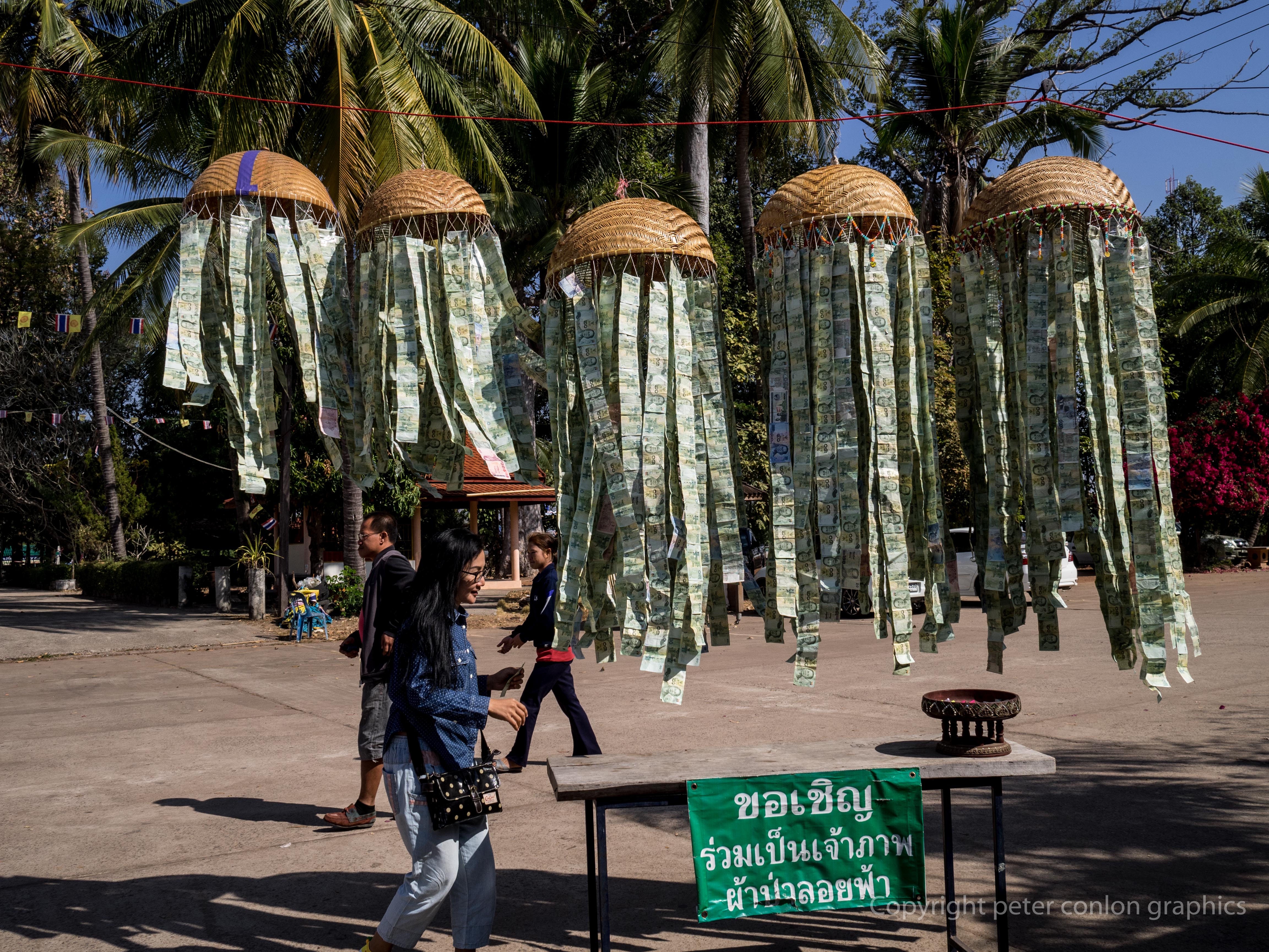 Money jellyfish at the Silk Market