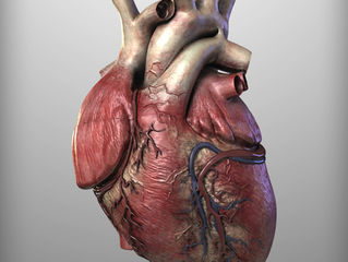 DIRETRIZ SUL AMERICANA DE
PREVENÇÃO E REABILITAÇÃO
CARDIOVASCULAR, clique na imagem e confira: