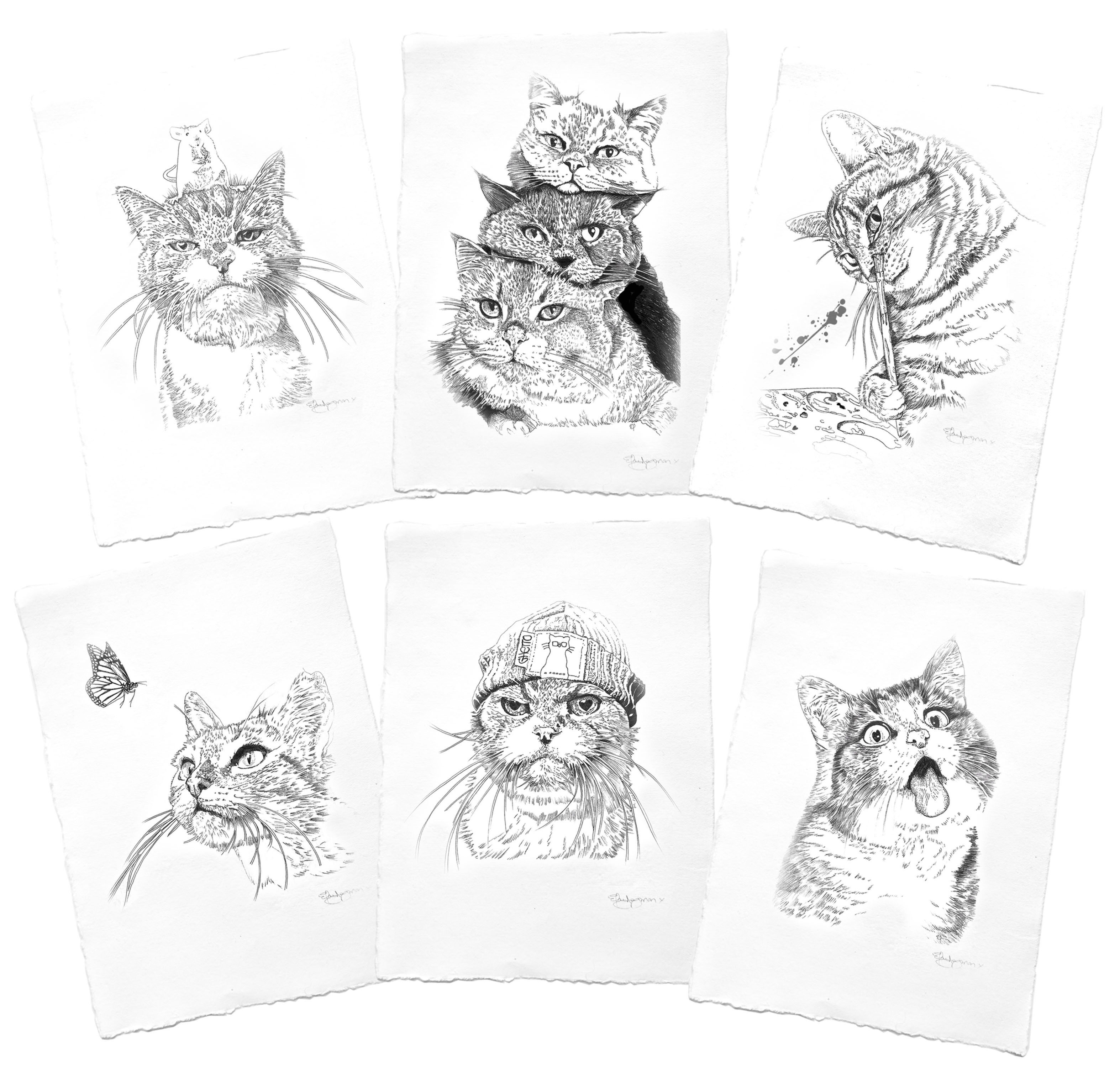 Limited Edition Print -Pawtraits Cats - Full Set