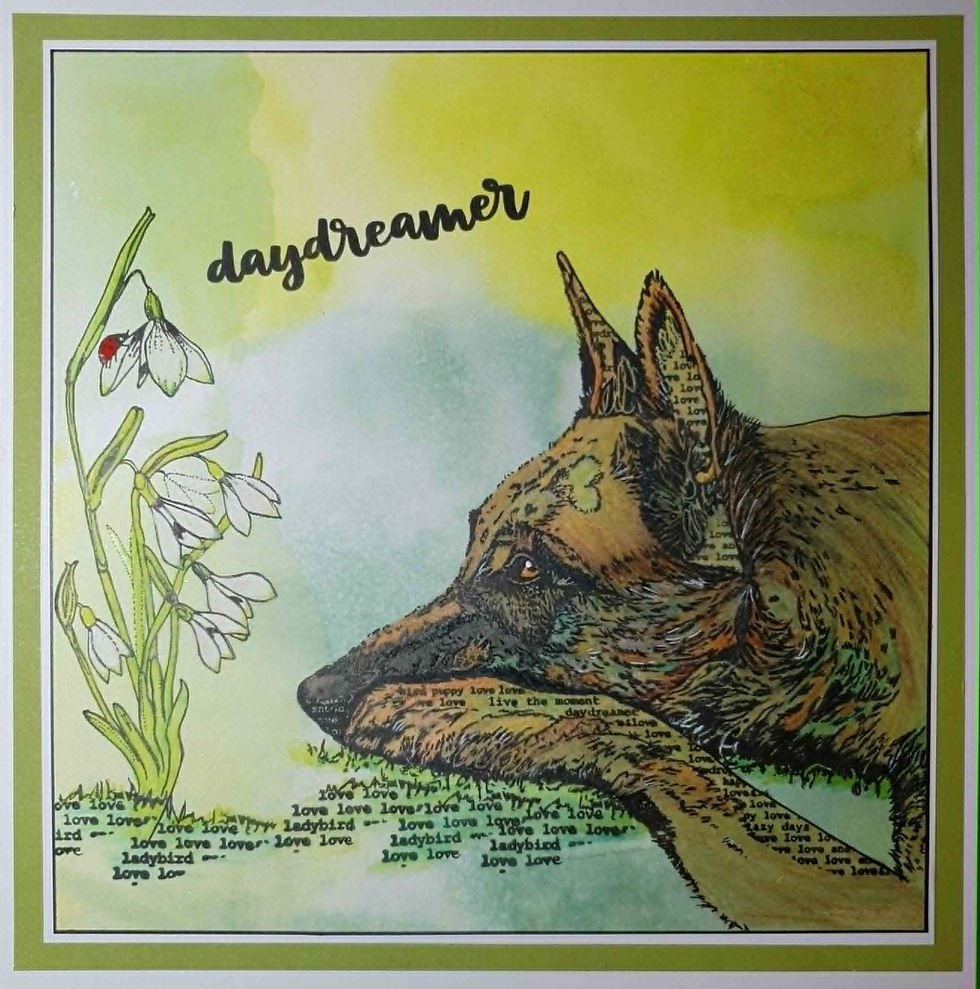 Thumbnail: Daydreamer Dog- Clear Acrylic A5 Stamp - Hand Drawn - Limited Edition