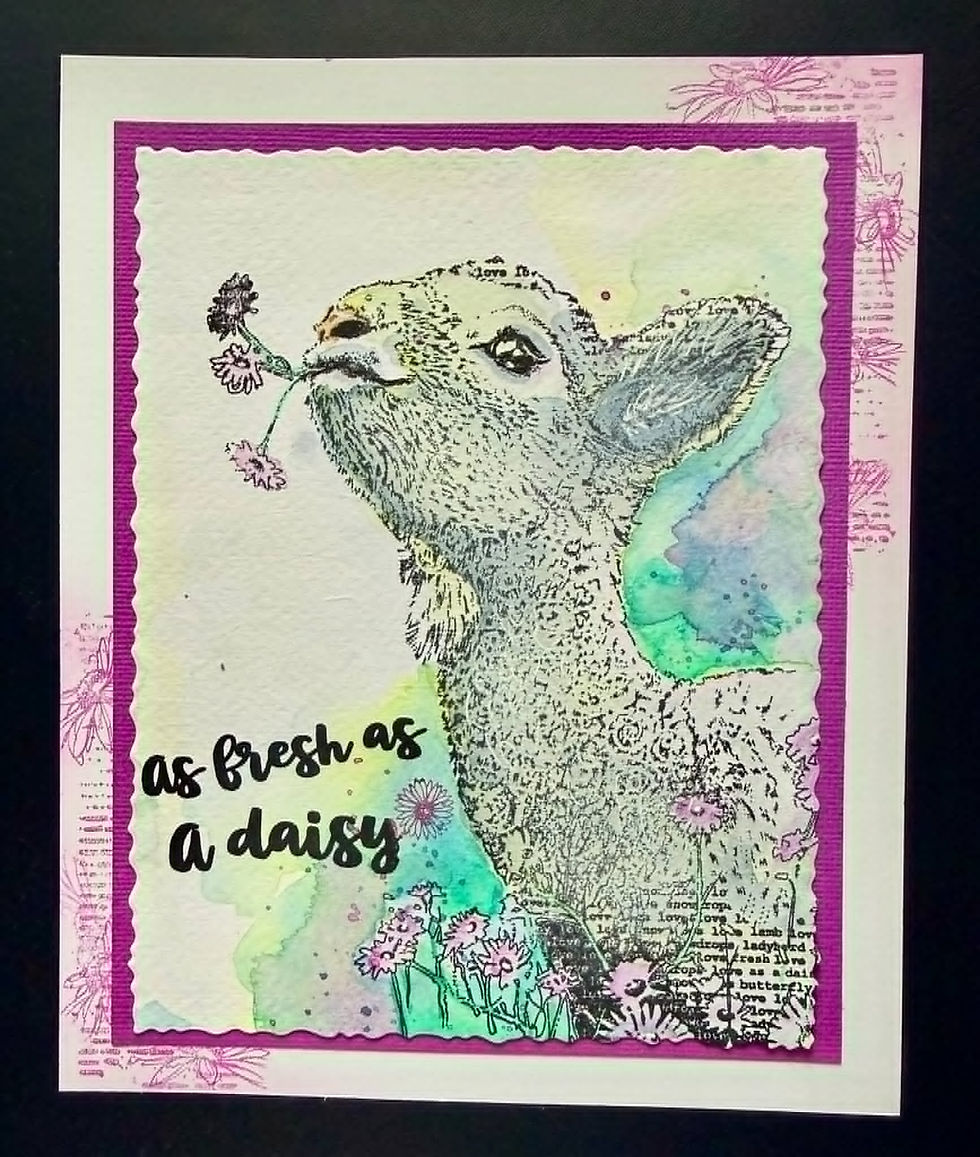 Thumbnail: As fresh as a Daisy- Baby Lamb - Clear Acrylic A5 Stamp - Hand Drawn - Limite
