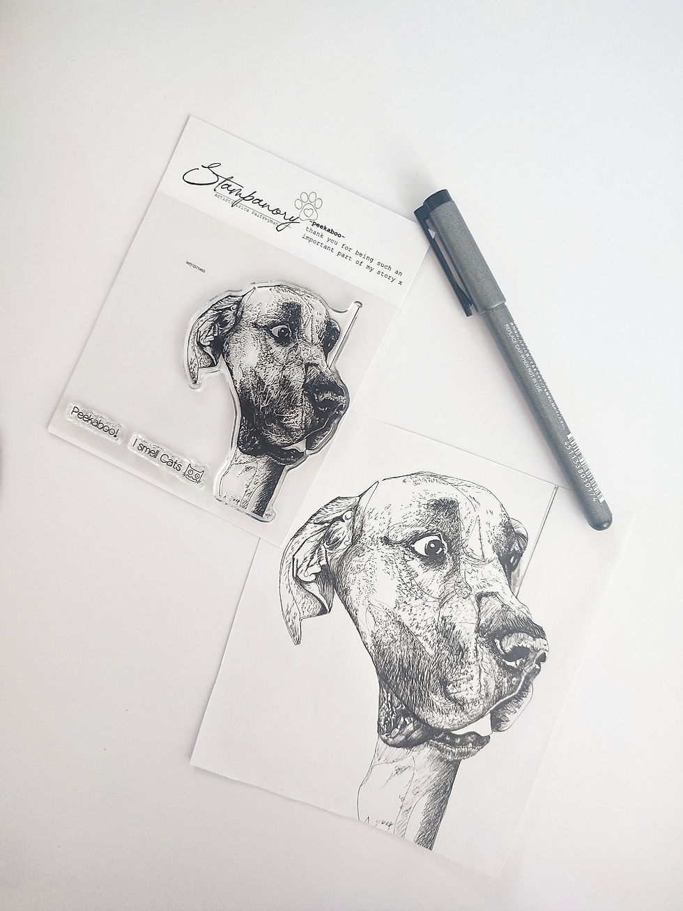 Thumbnail: PAWtraits - Peekaboo! - 4"x4" - 3 Stamp Set