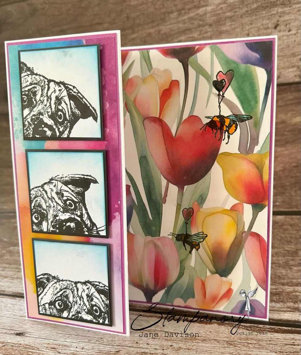 Thumbnail: PAWtraits Full Collection - 4"x4" - 6 Stamp Set