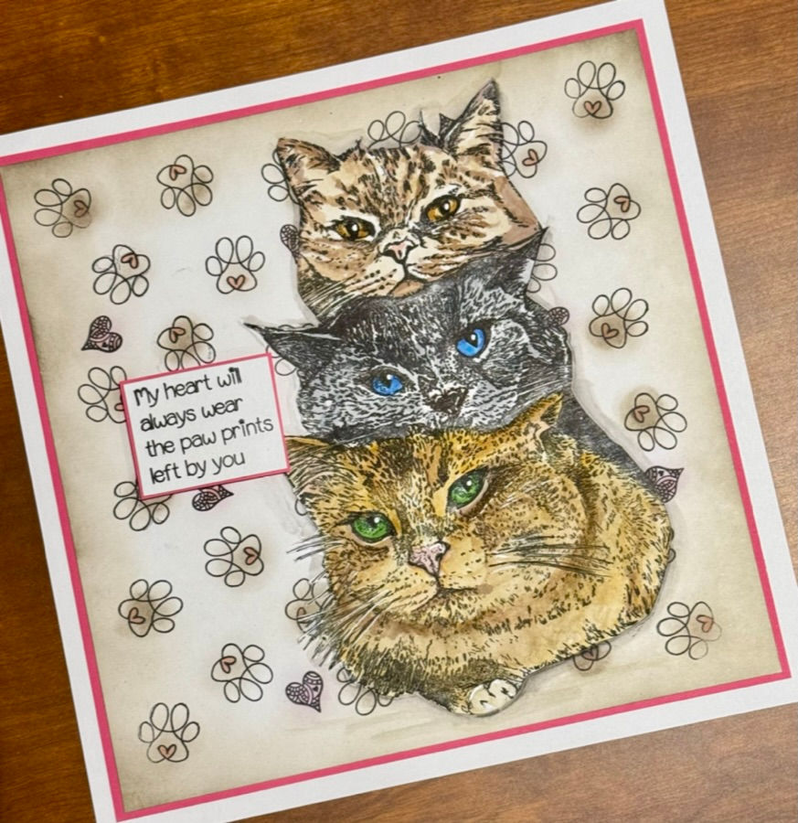 Thumbnail: Cats PAWtraits- Pawprints Left By You - A5 - 3 Stamp Set