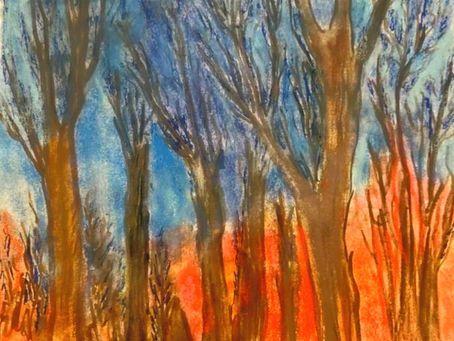 THE BEAUTY IN THE BARE TREES